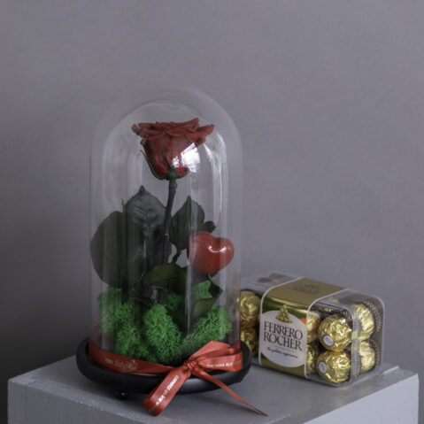 Cupola trandafir criogenat + Ferrero Rocher