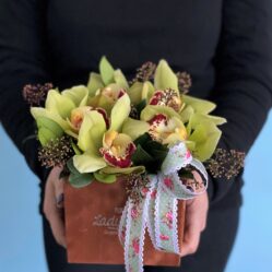 Orhidee in cutie de catifea