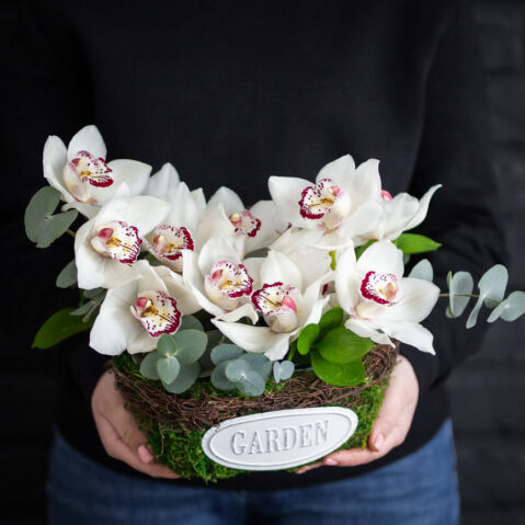 Aranjament cu orchidee