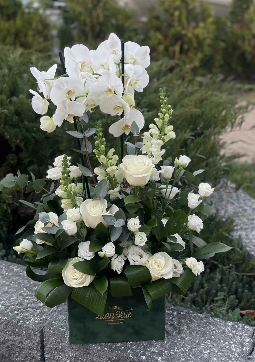 Aranjament cu phalaenopsis si flori albe — imaginea 2