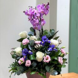 Aranjament cu Phalaenopsis si flori roz