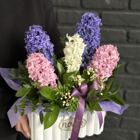 Zambile colorate in cos