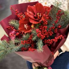 Buchet cu ilex si amarylis