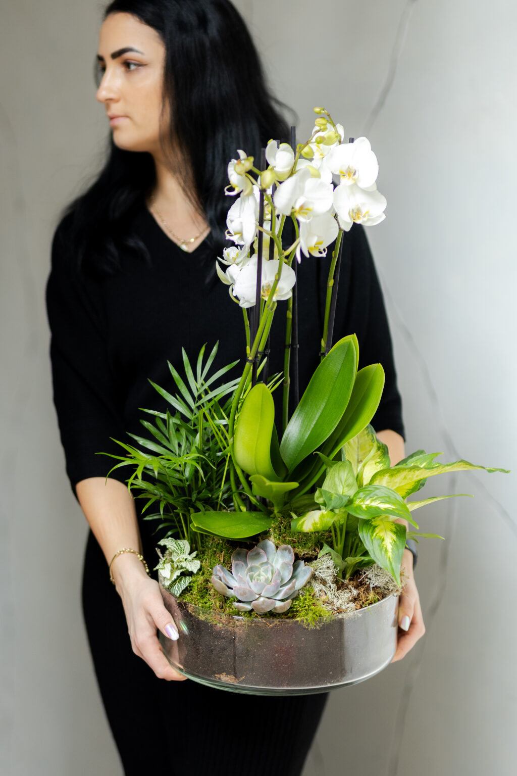 Plante si Phalaenopsis in Vas de Sticla