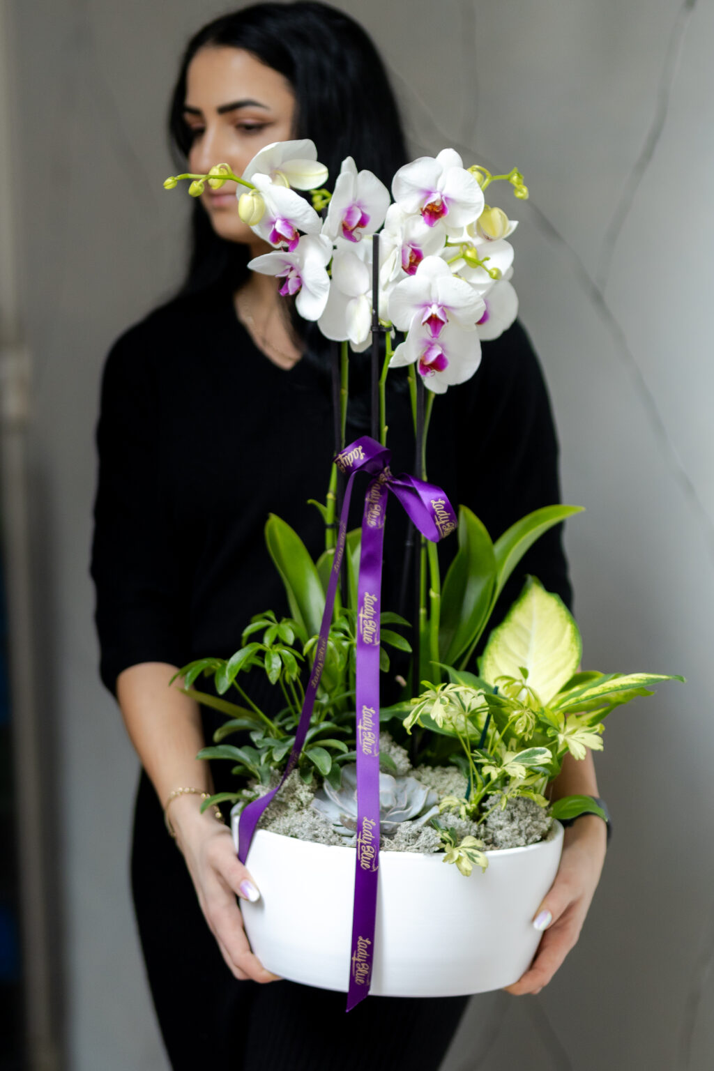 Plante si Phalaenopsis in Vas de Sticla — imaginea 3