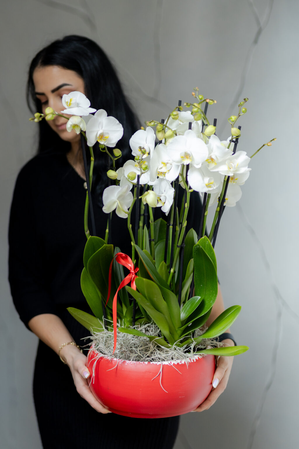 Phalaenopsis Alb in Vas Ceramic