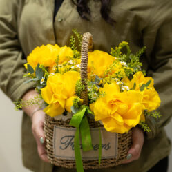 Aranjament Suras de soare